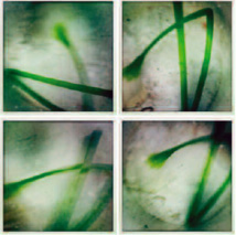 Crédit photo Jean-Michel HERIN Crédit photo Jean-Michel HERIN