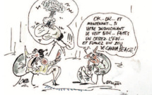 Métaphore. Revue Hypnose &amp; Thérapies Brèves n°65
